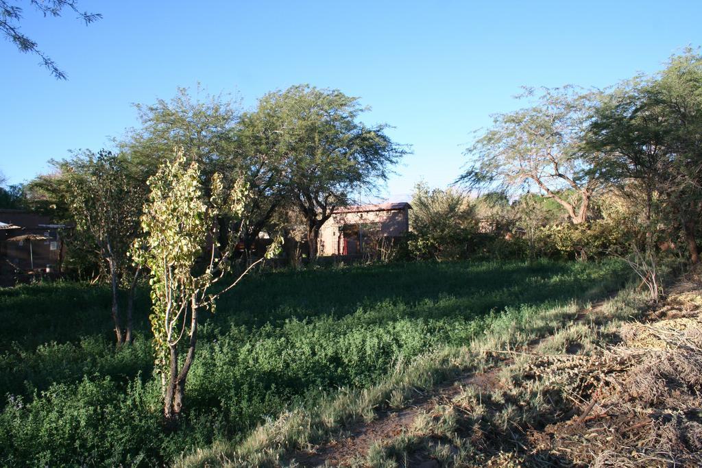 Quinta Adela Bed & Breakfast San Pedro de Atacama Luaran gambar