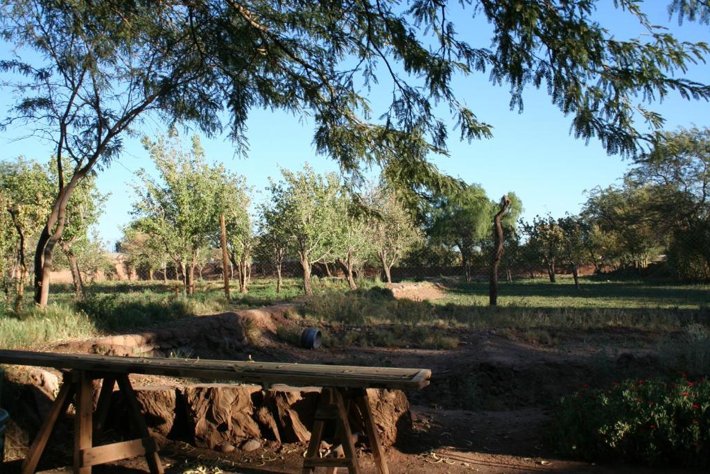 Quinta Adela Bed & Breakfast San Pedro de Atacama Luaran gambar