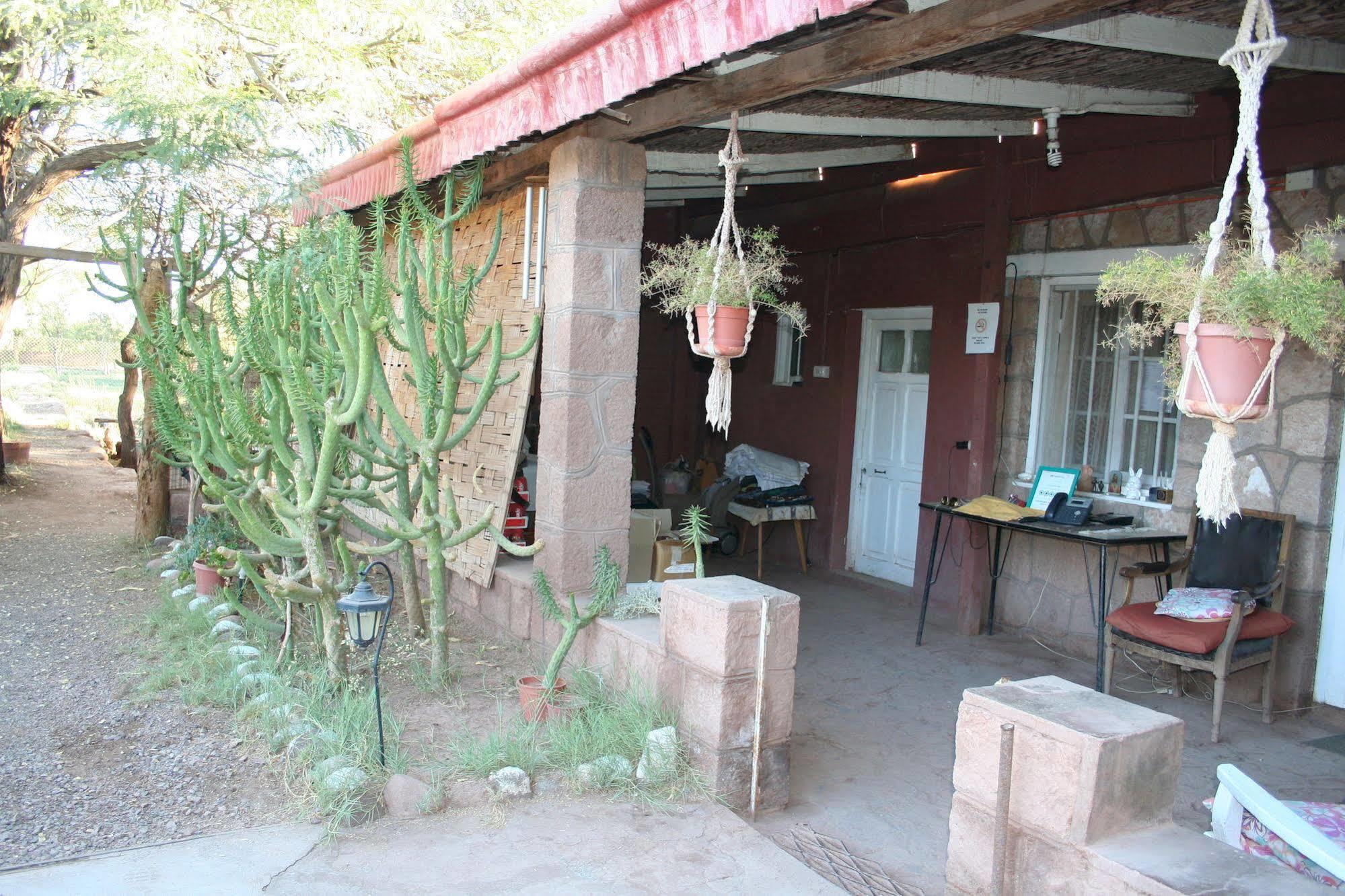 Quinta Adela Bed & Breakfast San Pedro de Atacama Luaran gambar